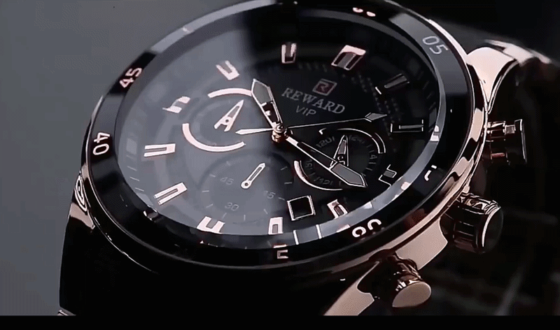 REWARD Men’s Chronograph – Waterproof Steel Watch